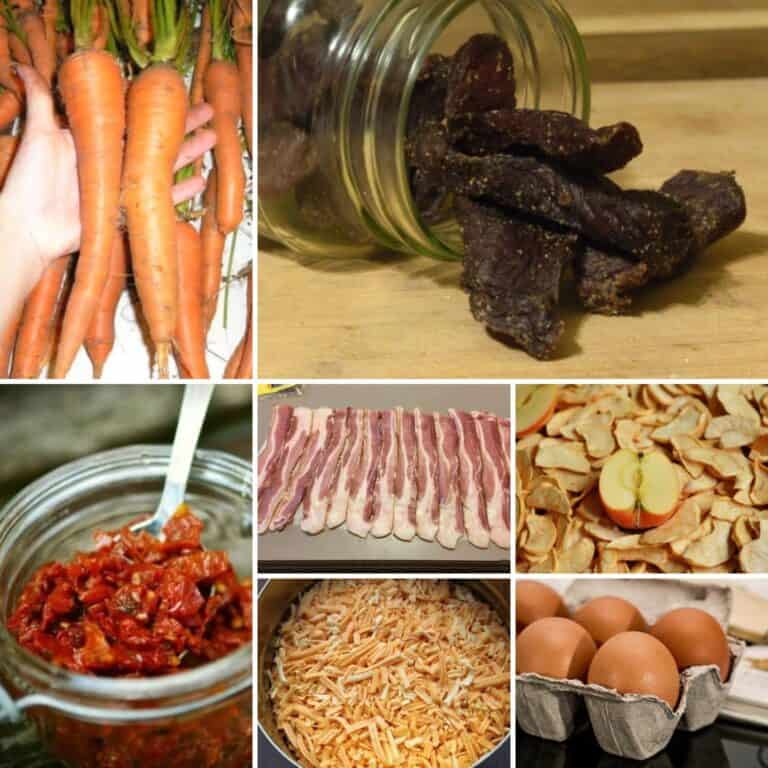 foods you can freeze-dry collage
