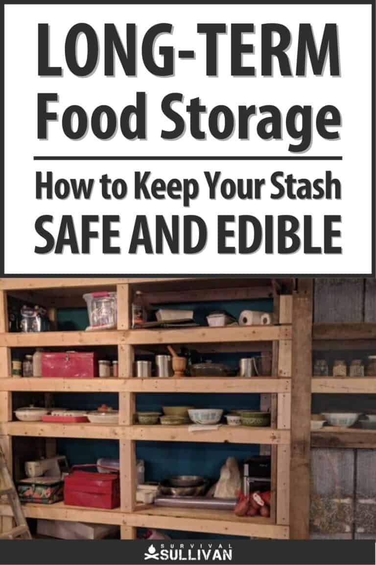 keeping your food stash safe and edible pinterest