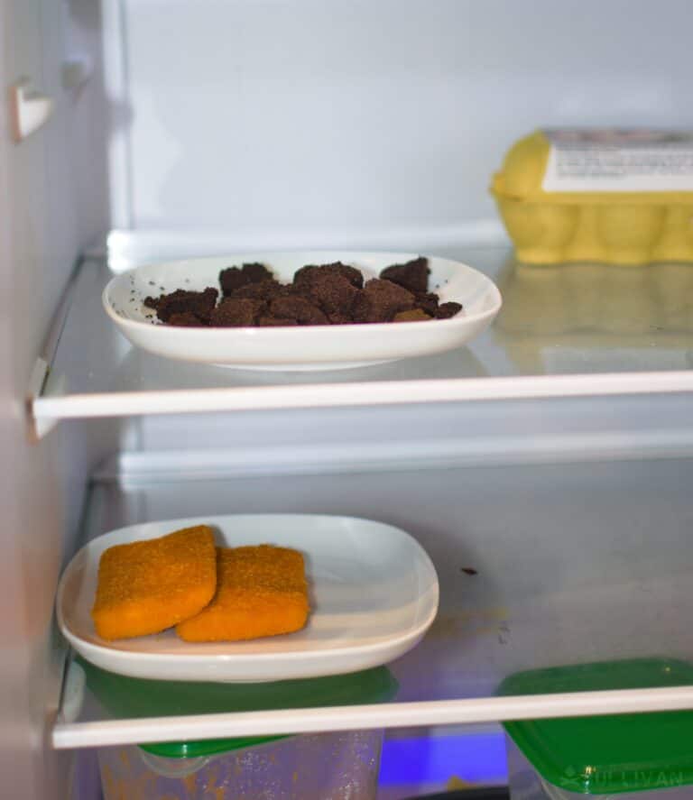 coffee grounds on small plate in the fridge