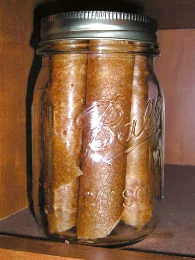 fruit leather in Mason jar