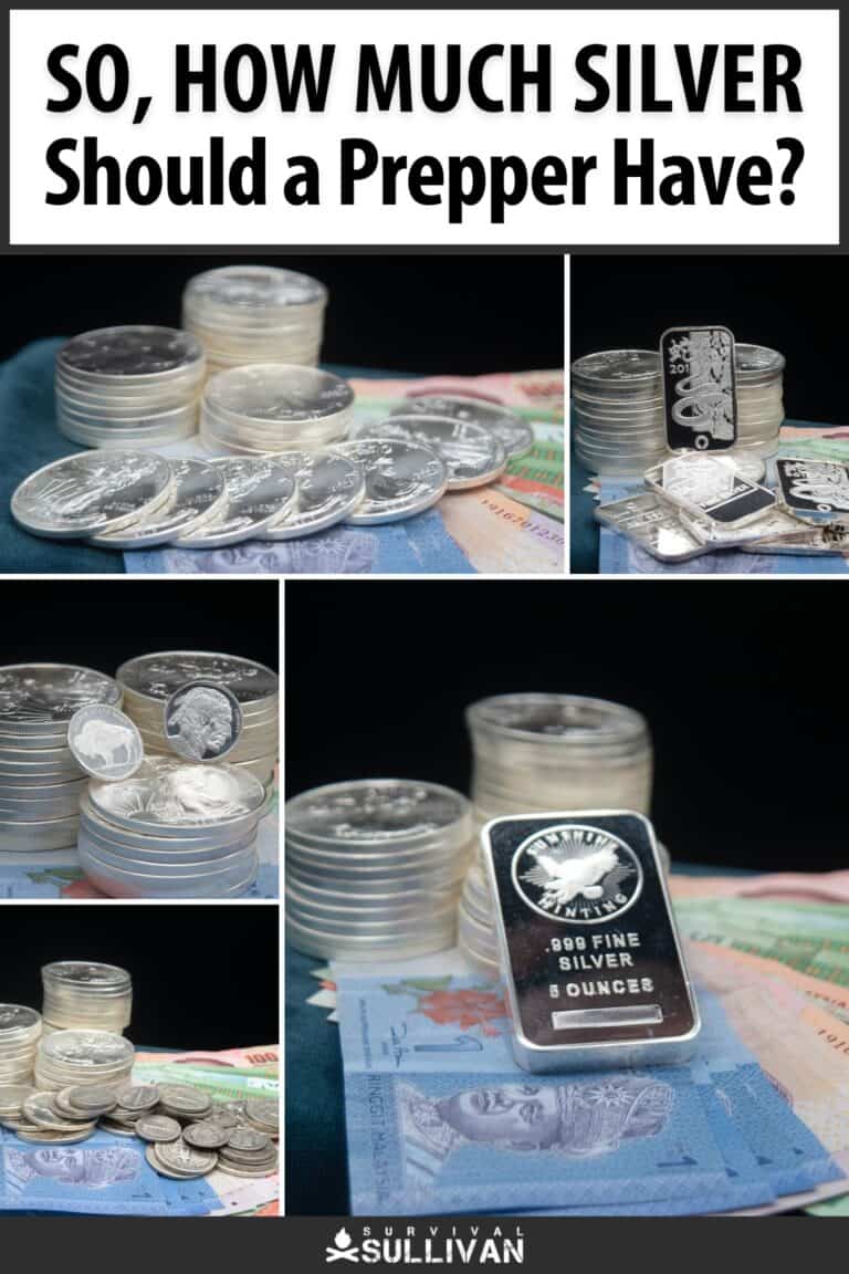 how much silver should a prepper have pinterest