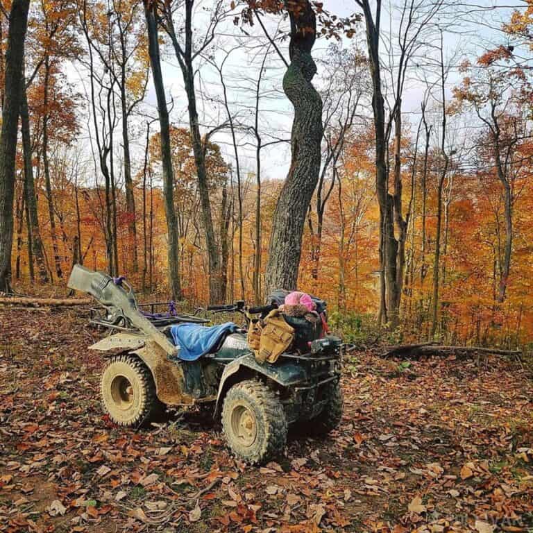 an ATV in the woods