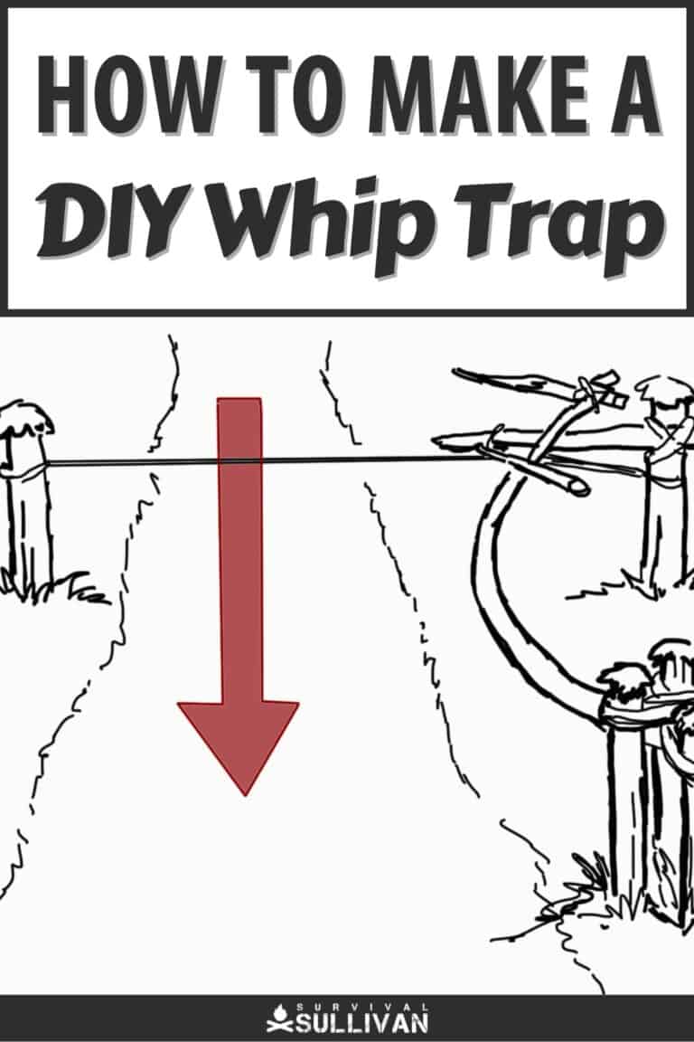 how to make a diy whip trap pinterest