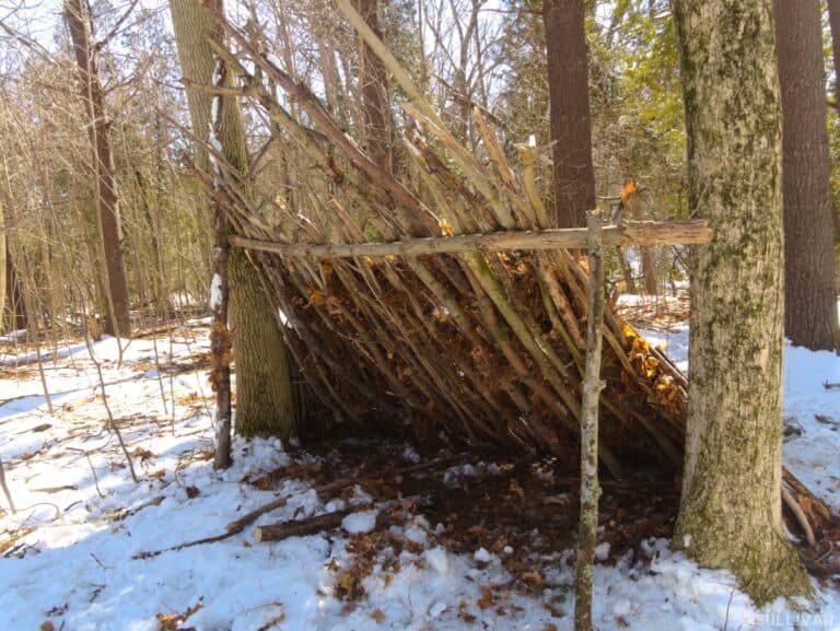 y-pole survival lean-to shelter in-between two trees