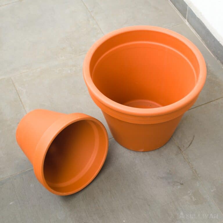 two terracotta clay pots
