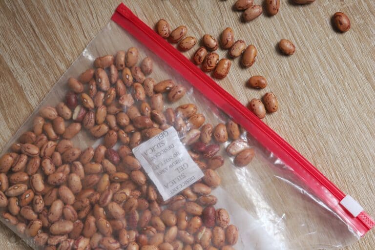 beans inside zipper bag with silica packet