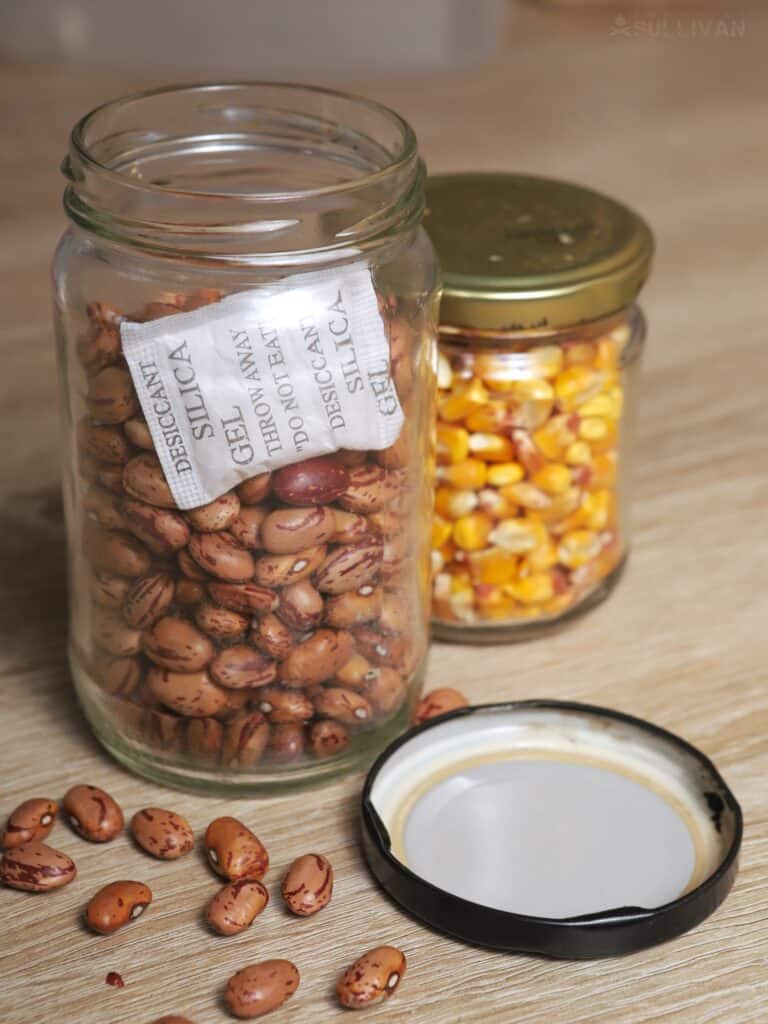 two glass jars with beans and corn kernels