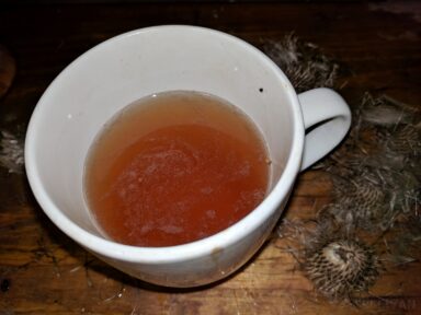 a cup of milk thistle tea