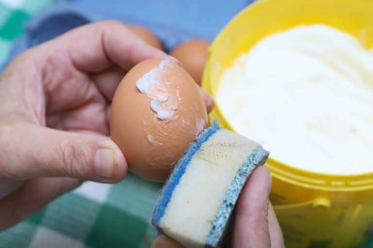 coating an egg with lard using a sponge