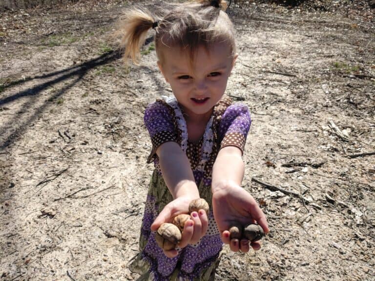 little girl holding walnuts in hand