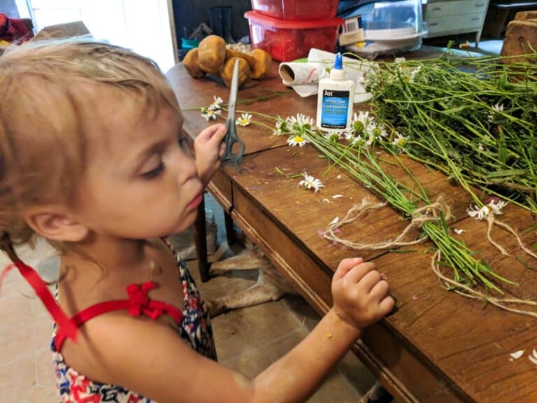 toddler helps to process some daisies