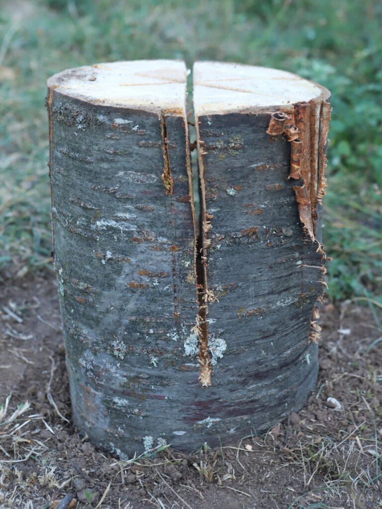 Swedish fire log with a buried base