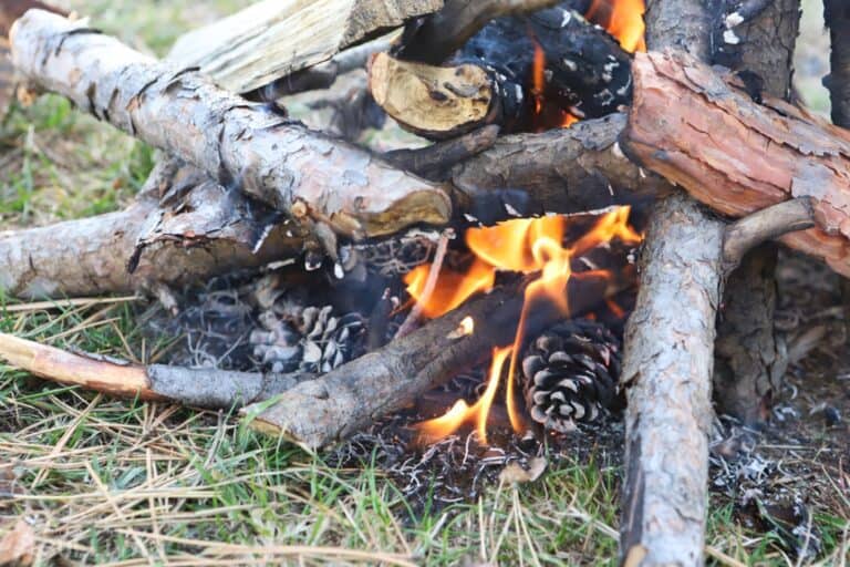 burning pinewood fire