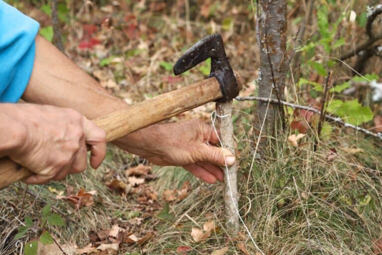 hammering stake into the ground