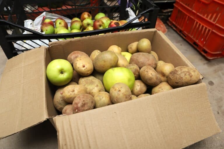potatoes and a apples in cardboard box