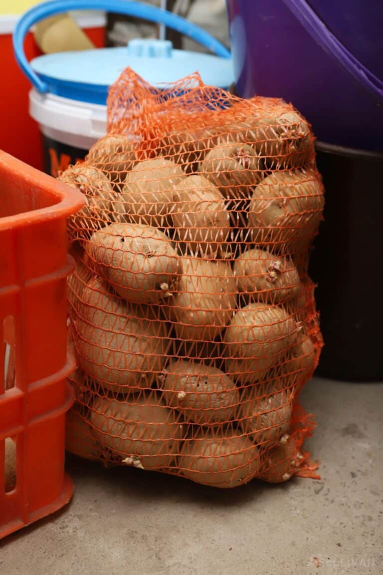 potatoes in mesh bag