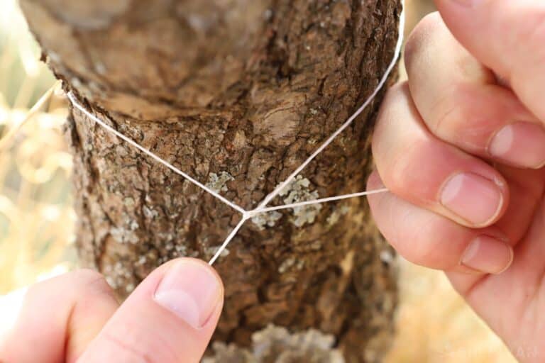 securing Paracord inner thread to tree