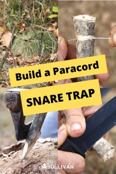 snare trap pin image