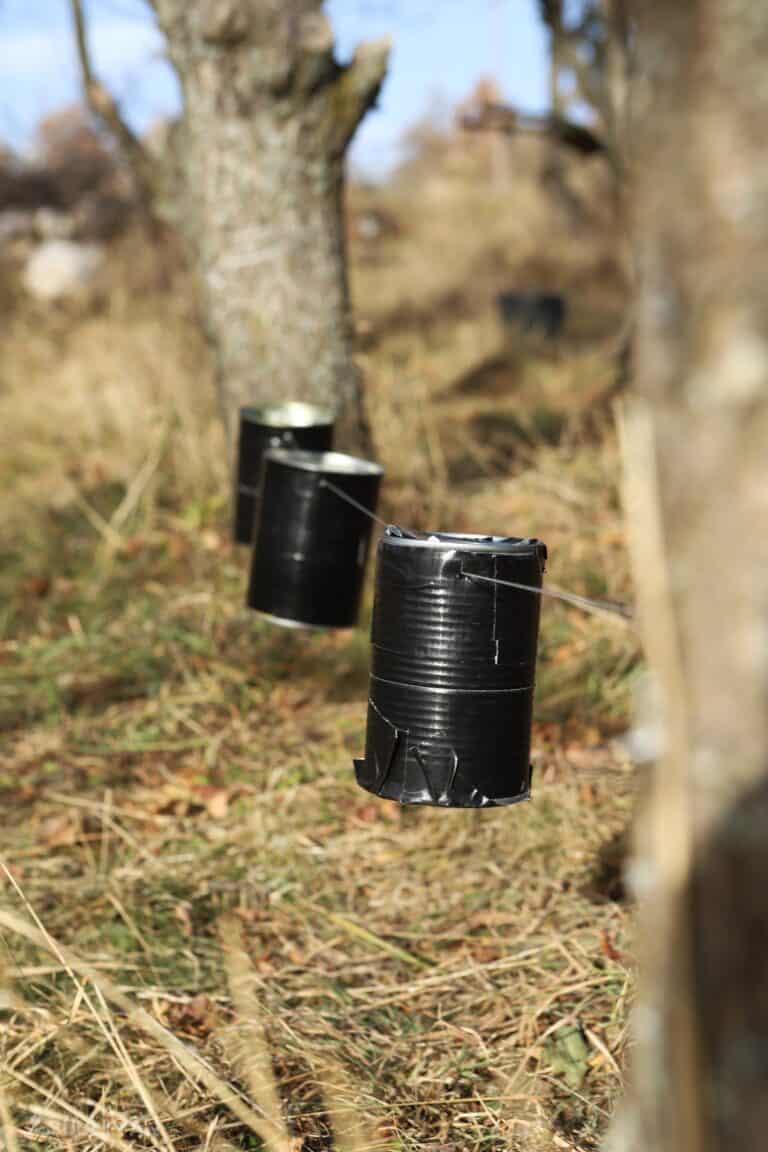 tin cans on string in-between trees