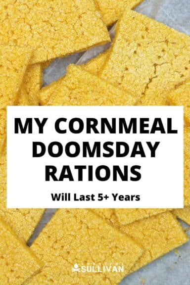Doomsday rations Pinterest image