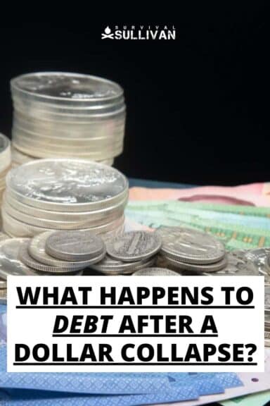 dollar collapse debt Pinterest image