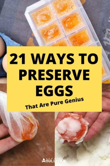 egg preservation pinterest