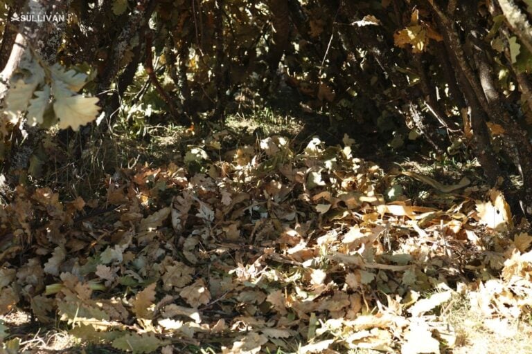 adding bottom insulation