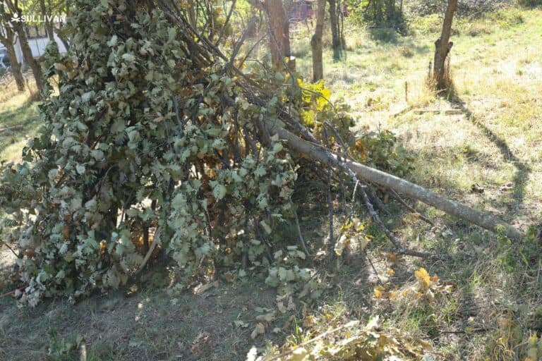 adding insulation to the sides