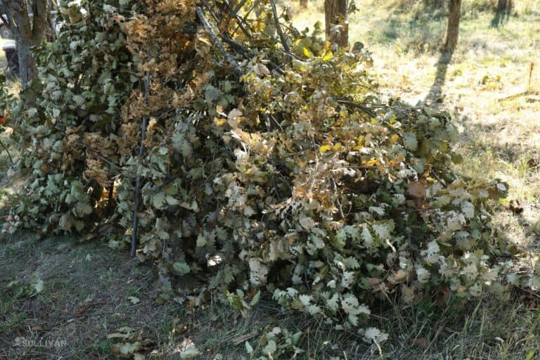 back of the shelter insulated