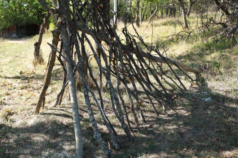 setting up the smaller branches