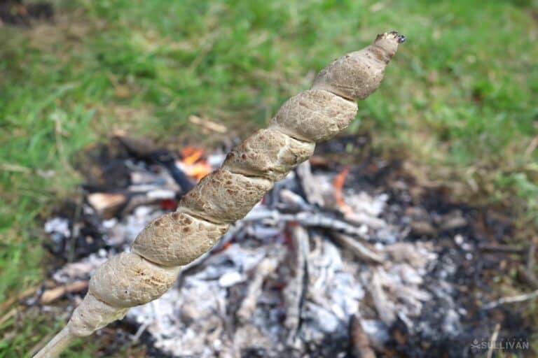 bannock stick cooked