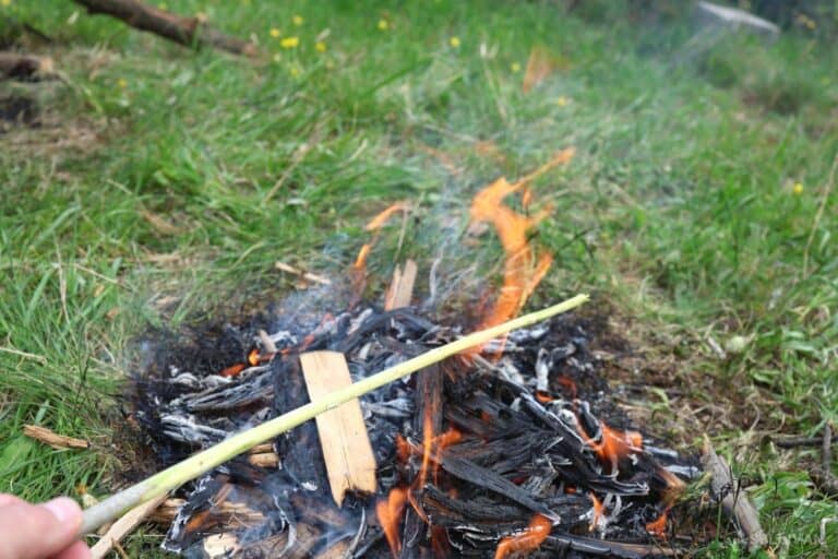 burning green stick in campfire