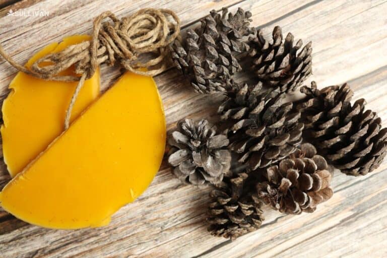 beeswax and pine cones