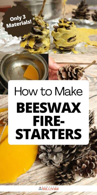 beeswax fire staters Pinterest