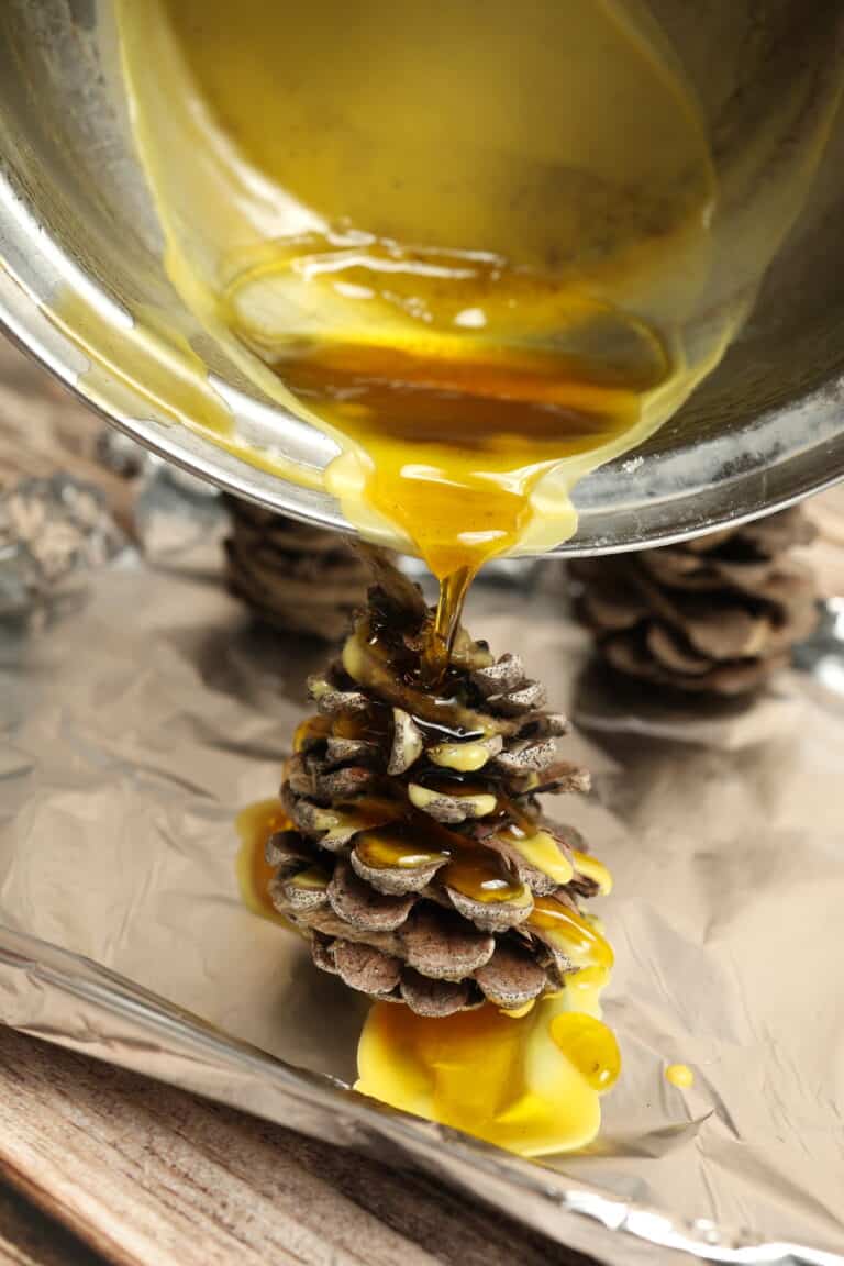 pouring melted beeswax over pine cone