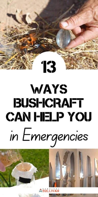 bushcraft in emergencies pin