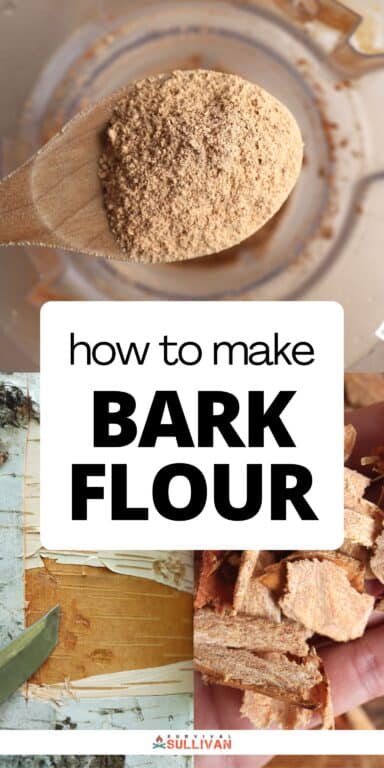 bark flour Pinterest