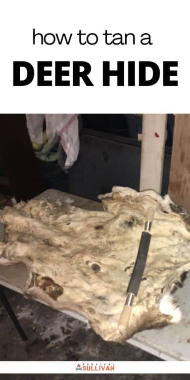 deer hide tanning Pinterest