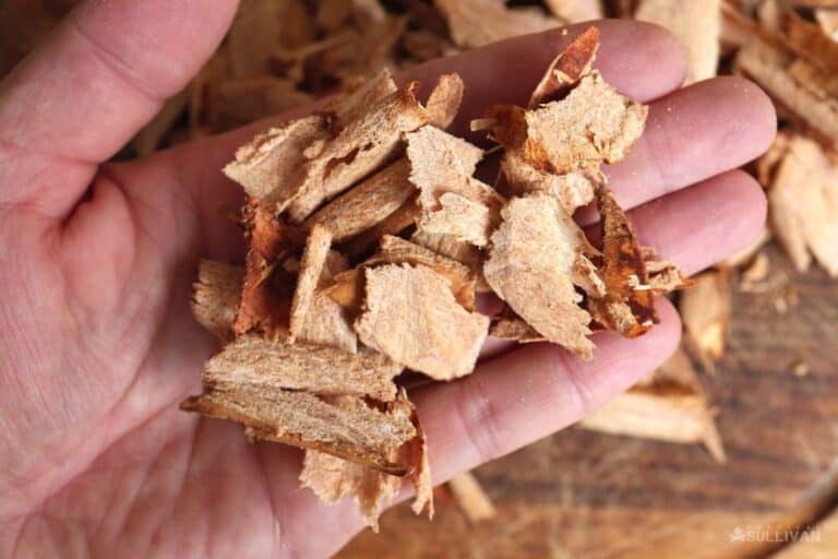 harvested inner bark in hand