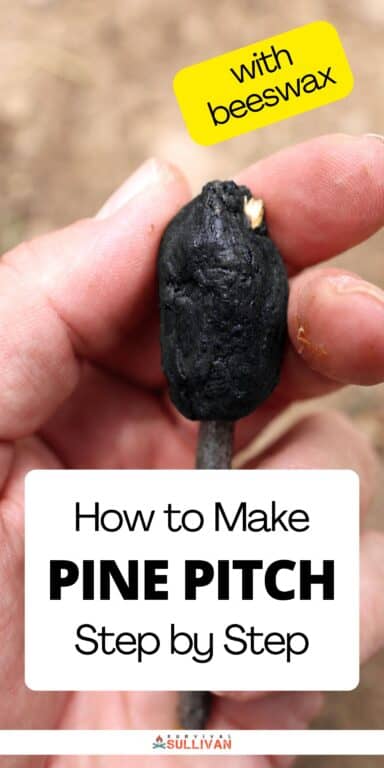 making pine pitch Pinterest