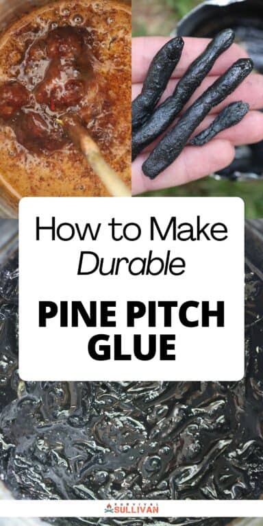 pine pitch glue