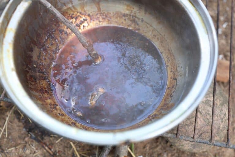 sap completely melted